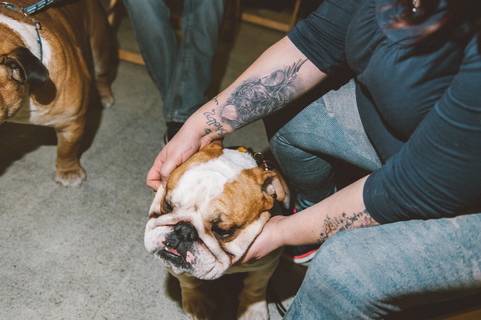 DOG PEOPLE - einhorn video 102 - PETS Photography by Klaus Dyba